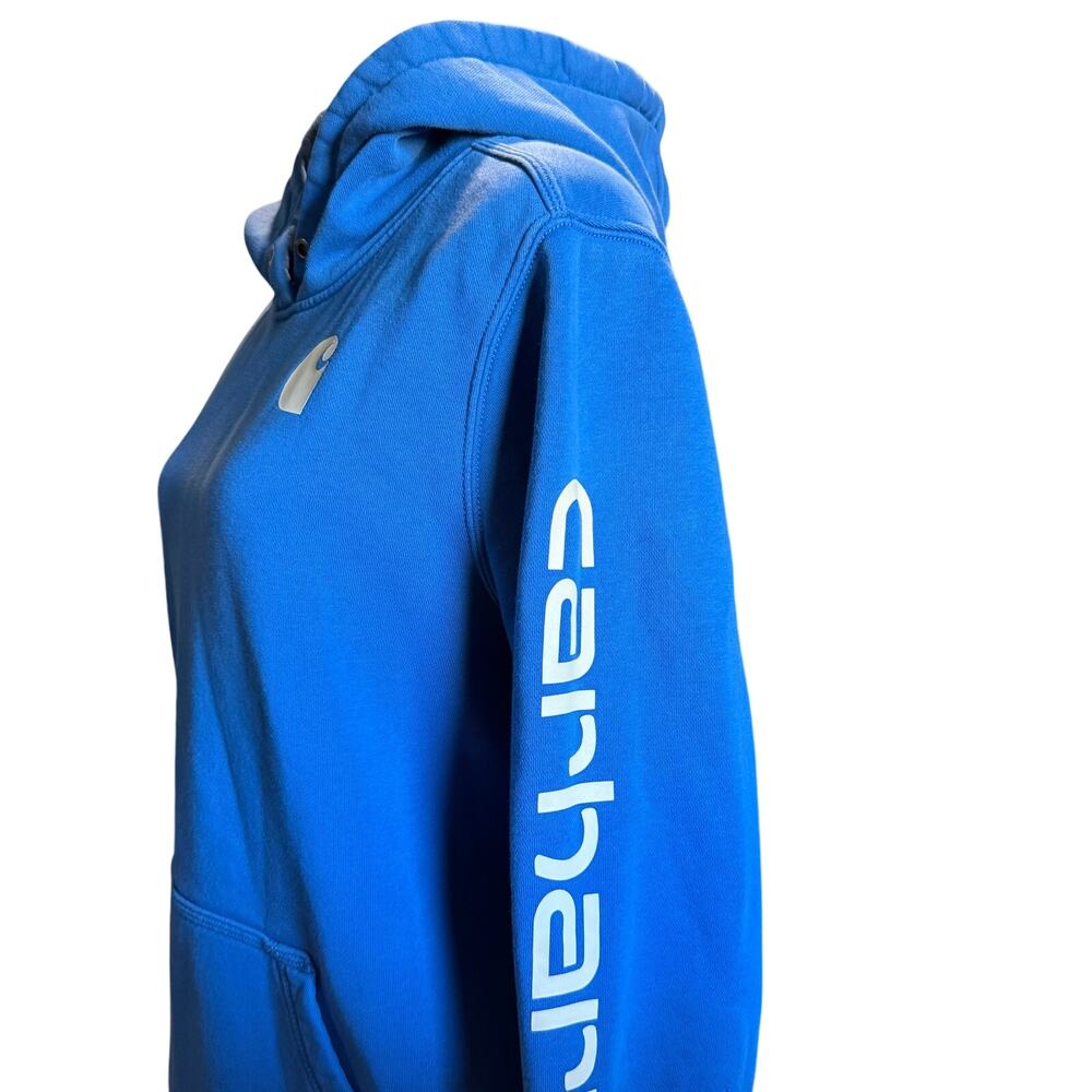 Carhartt Juniors Relaxed Fit Midweight Logo Graphic Hoodie, Blue, XL (16/18)